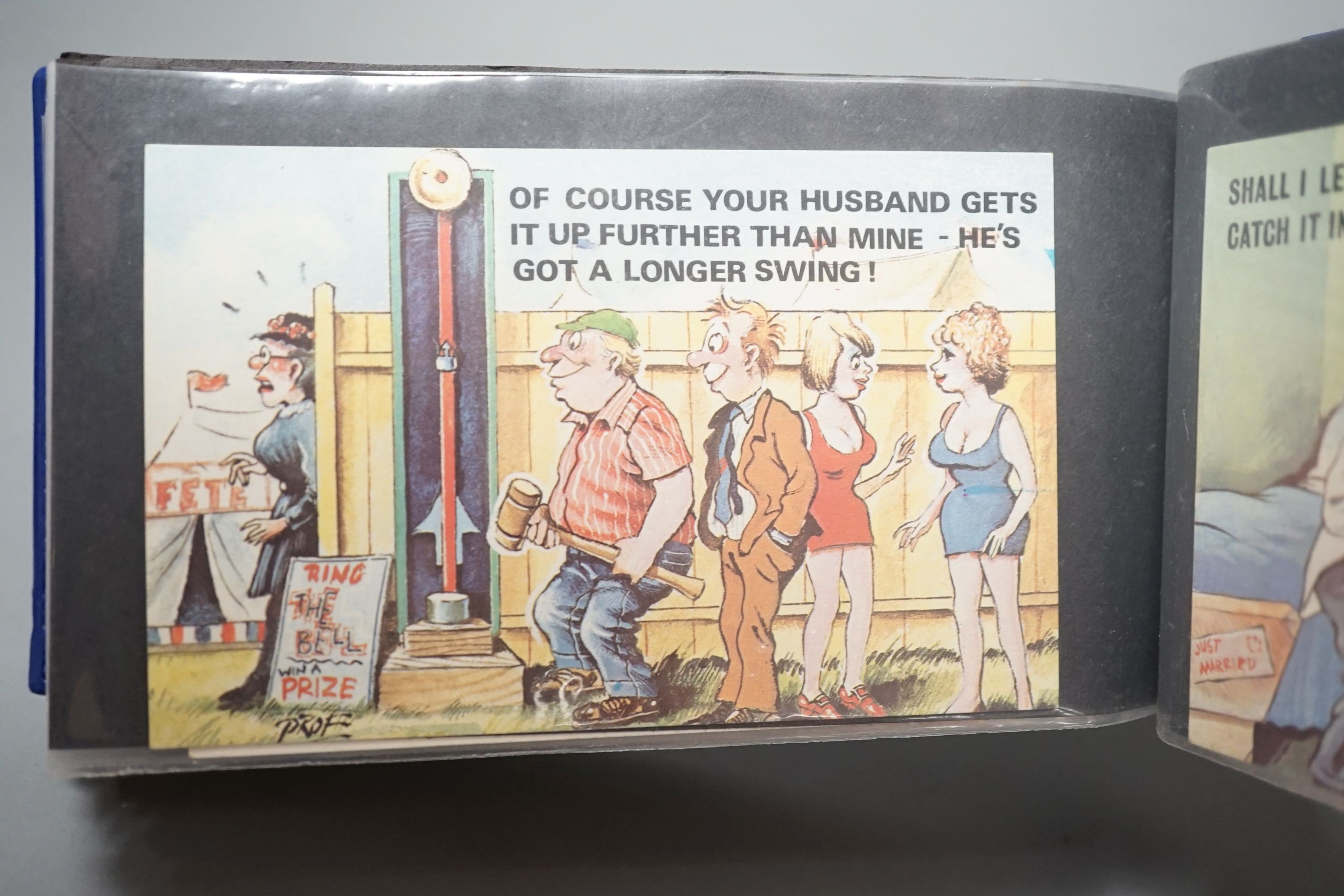 An album of 1970s cartoon saucy Seaside postcards